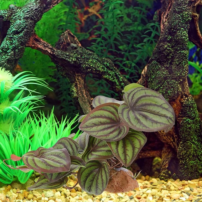 نبات زينة صناعي من الراتنج للزواحف، نبات أخضر مزيف لحوض السلاحف وملجأ الموطن - Image 3